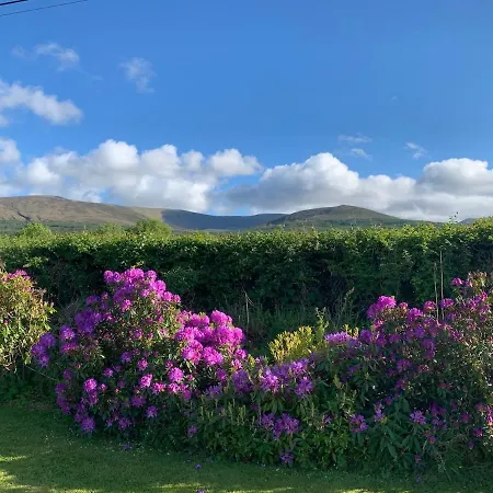 House At The Foot Of The Galtees Feriehus Clohernagh